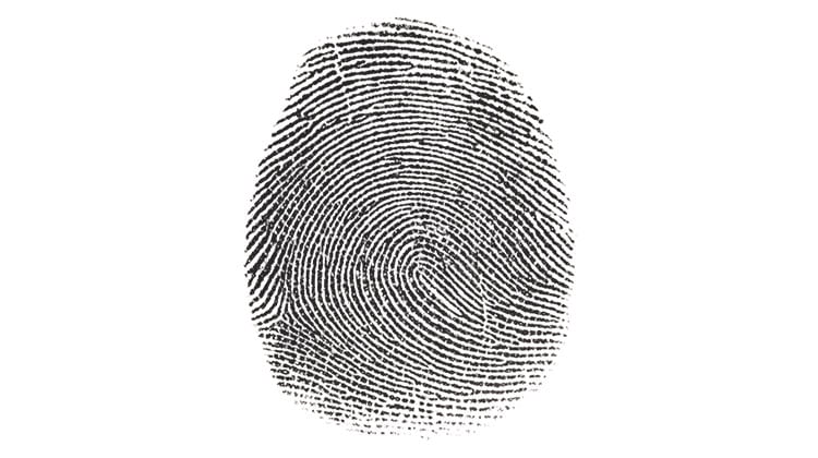 A large fingerprint