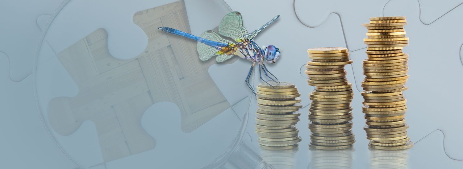 A dragonfly flying near some golden coins with the backdrop of a jigsaw puzzle