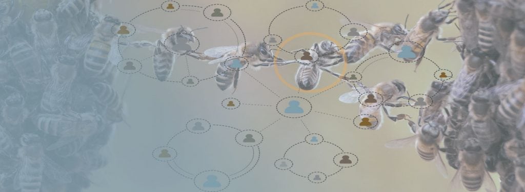 Identify Key Researchers Software Solutions Megaputer Intelligence