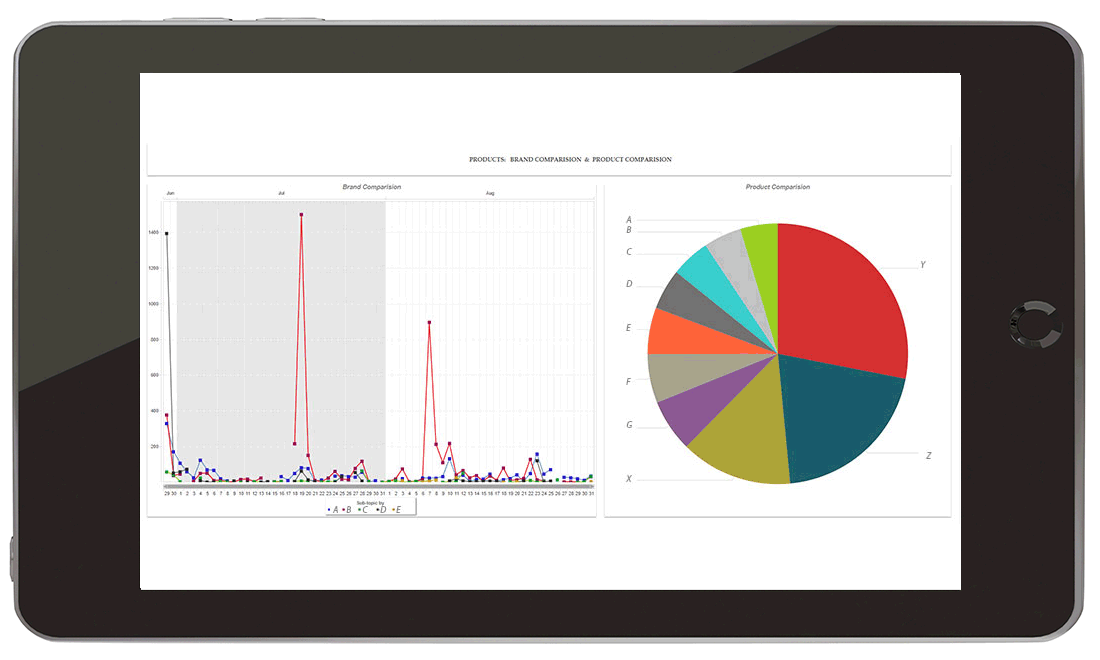 A software report