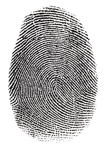 A fingerprint