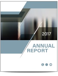 A thumbnail of the front page of a report with the words 2017 Annual Report