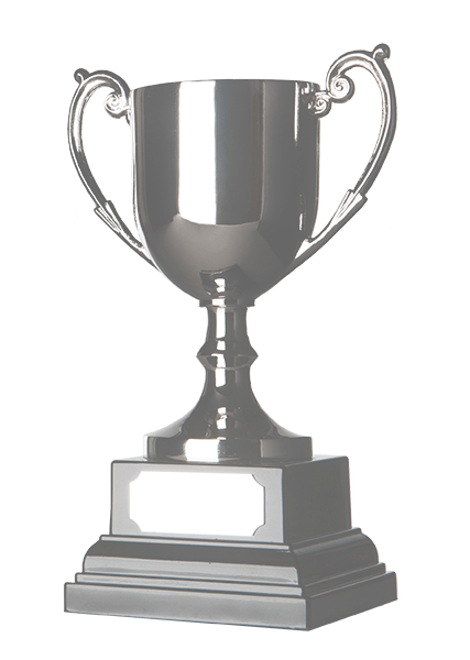 A picture of a trophy, silver