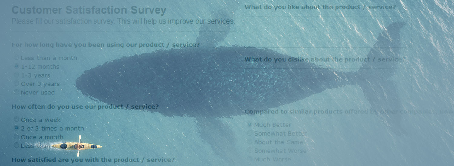 Customer Survey Analysis Banner