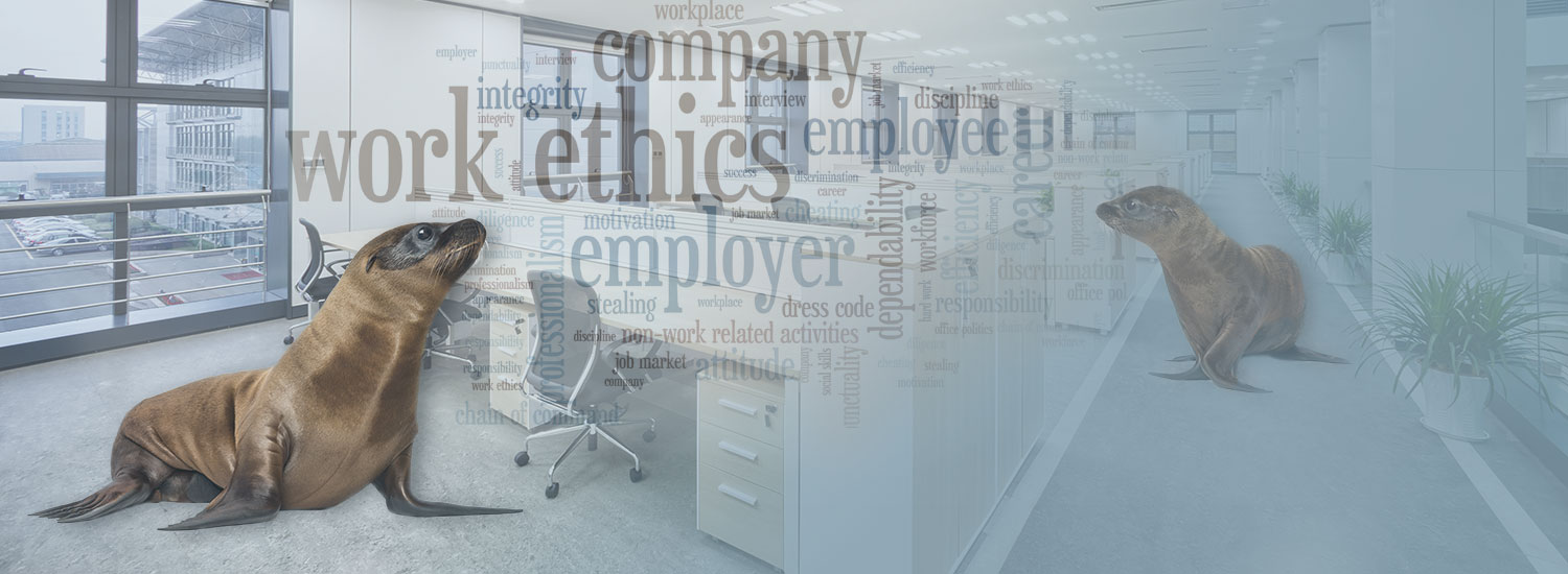 Employee Survey Analysis Banner