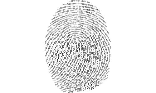 A fingerprint