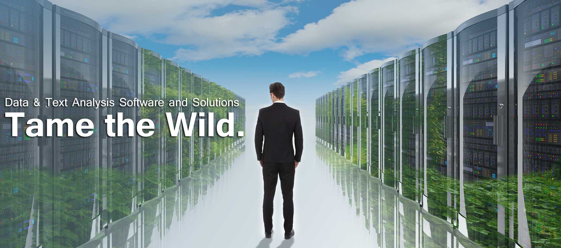 Tame the Wild Homepage Banner