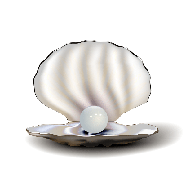 An open clam containing a pearl