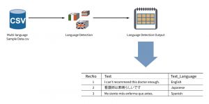 Language Detection in PolyAnalyst