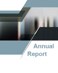 Annual Report Icon