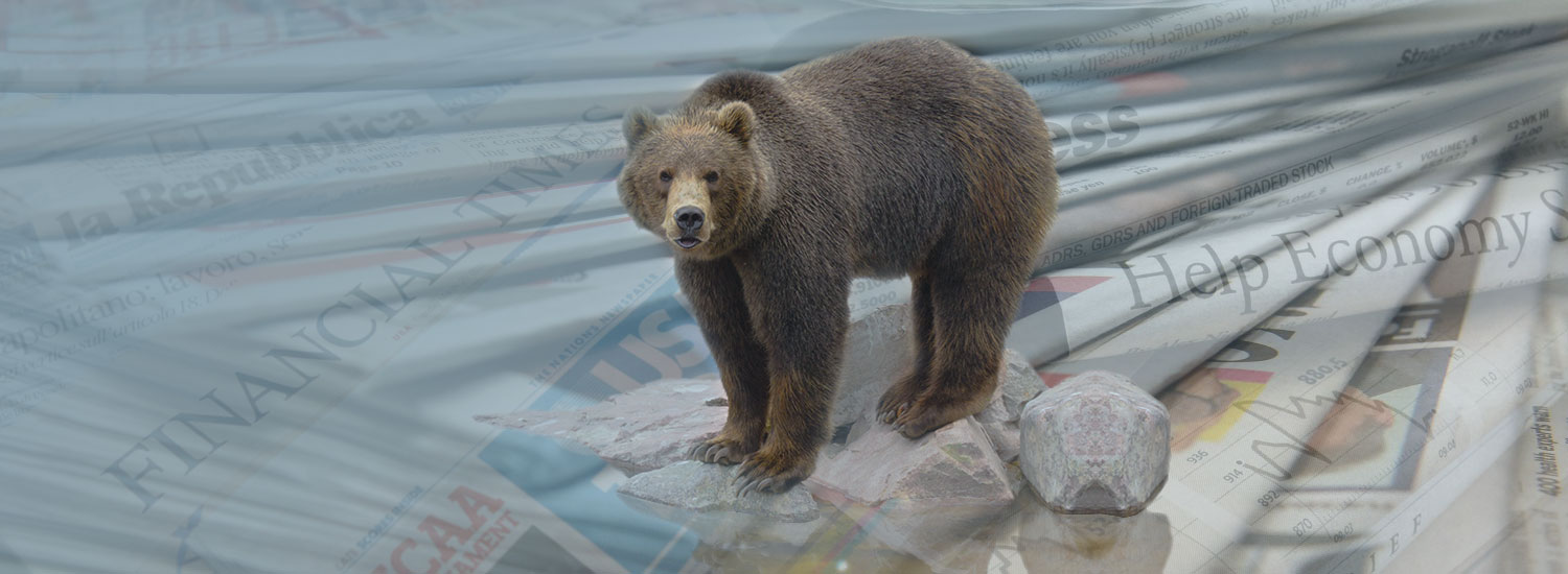 A picture of a bear standing on some rocks in the front of a pile of newspapers