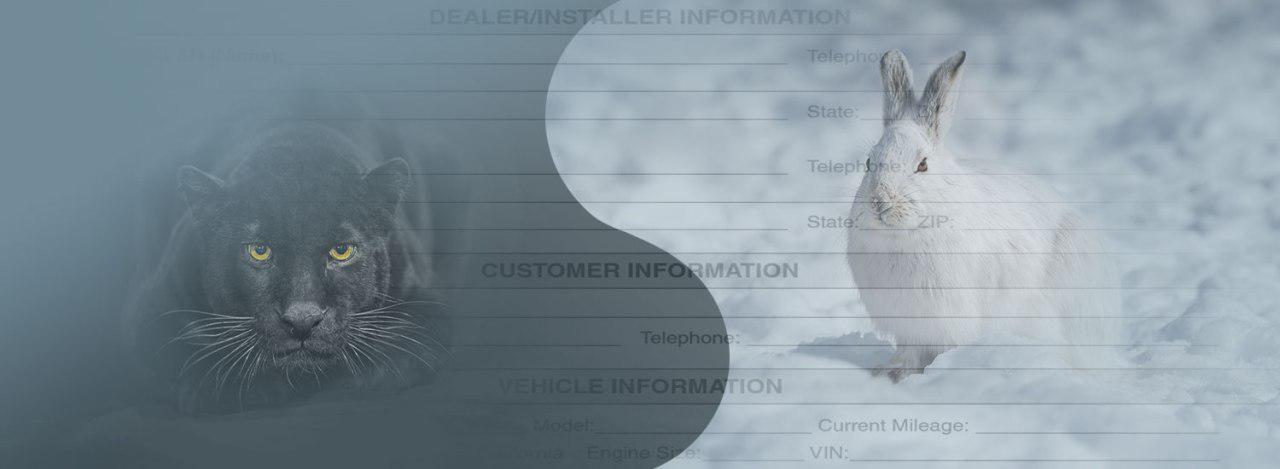 Warranty Claims Fraud Detection Solutions Banner