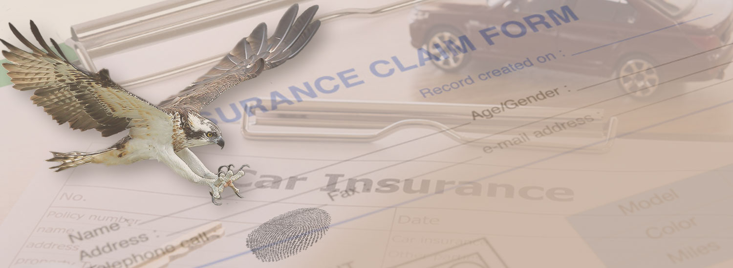 P&C Insurance Fraud Detection Solutions Banner
